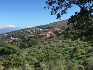 Laureana Cilento panorama