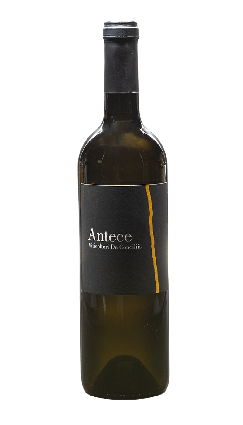 antece